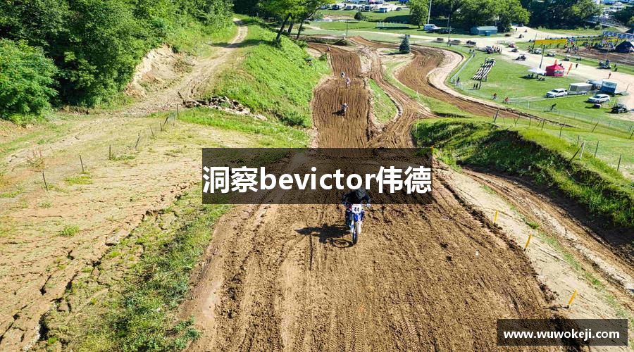 洞察bevictor伟德